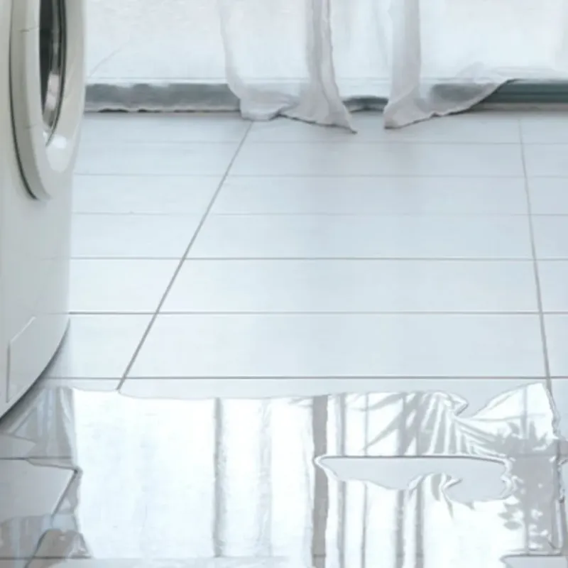Appliance Leak Cleanup in Rossford, OH