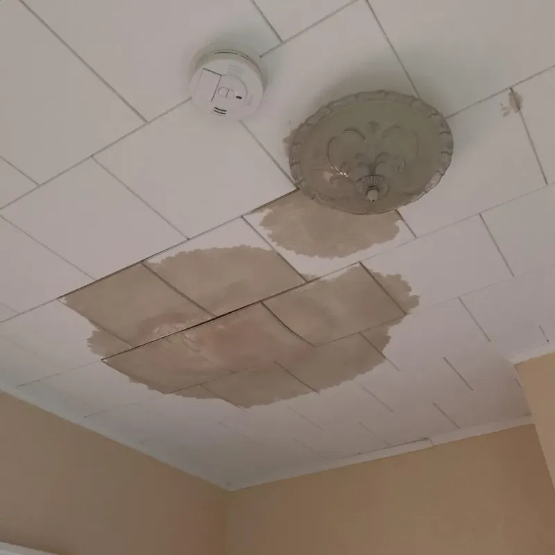Ceiling Water Damage Repair in Rossford, OH