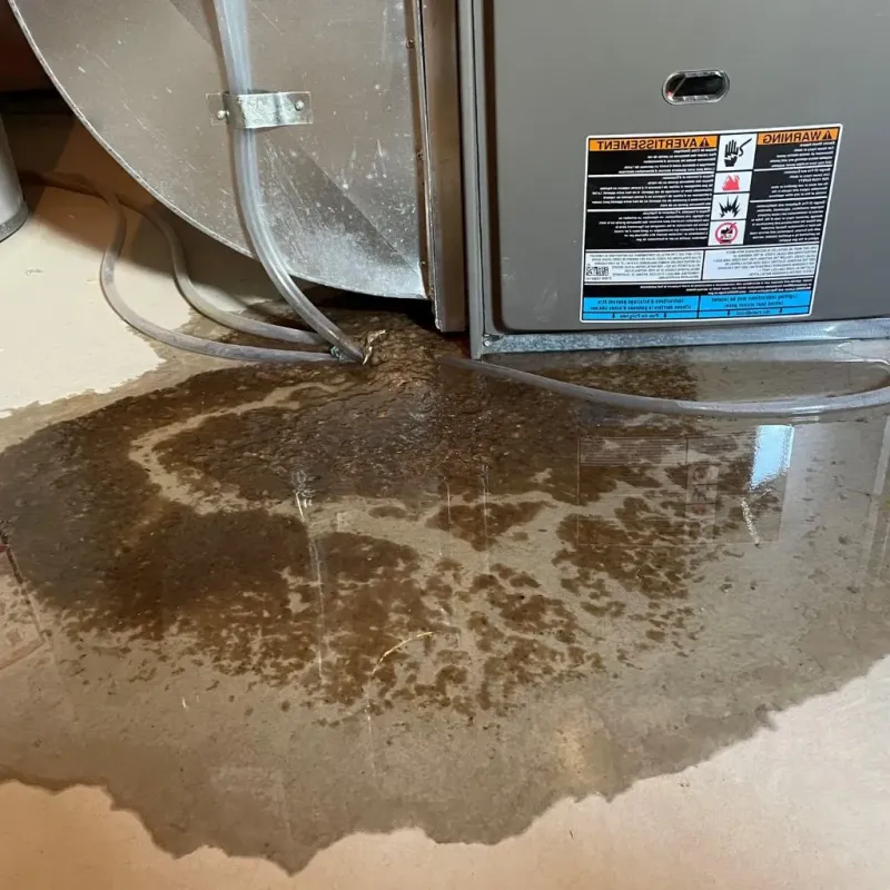 Pipe Burst and Leak Restoration in Rossford, OH